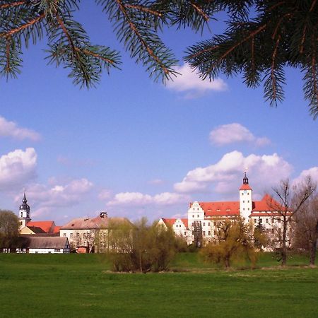 Parkhotel Pretzsch Bad Schmiedeberg Exterior foto