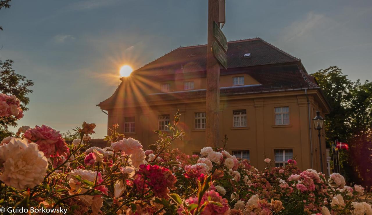Parkhotel Pretzsch Bad Schmiedeberg Exterior foto